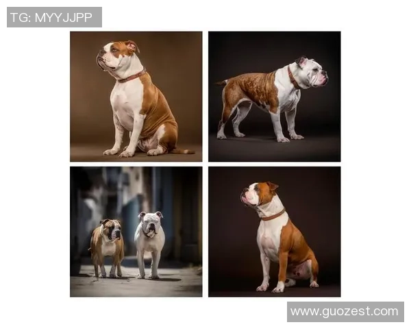 NFL美式足球明星在扣篮大赛中展现惊人技巧与力量的精彩瞬间