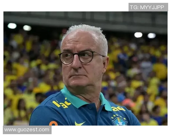 巴西足球30岁以上明星球员名单揭晓他们的辉煌成就与未来展望